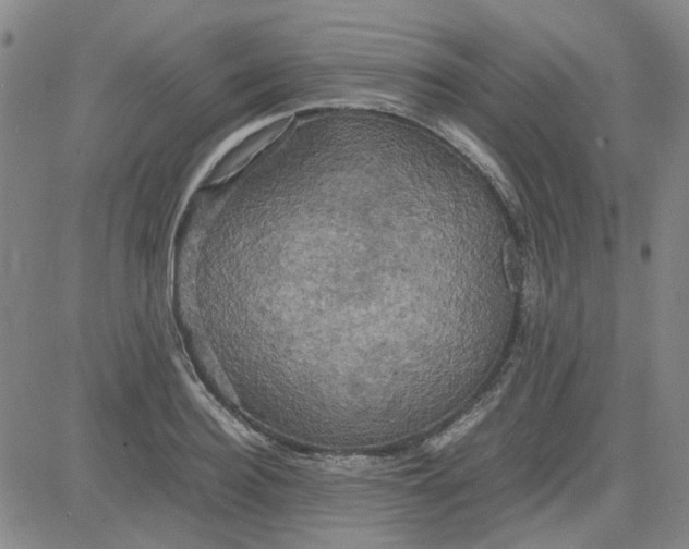 X0000080760940200701021052