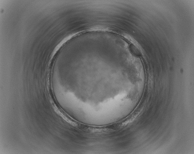 X0000080760941200701021052