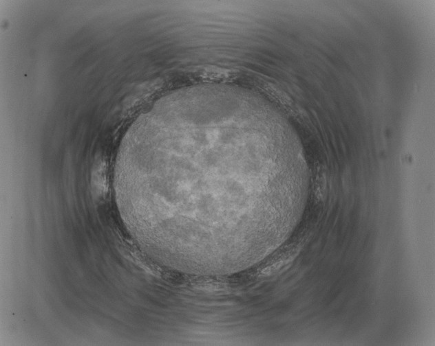 X0000080760962200701021052