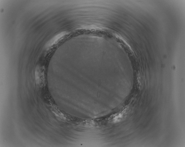 X0000080760968200701021052