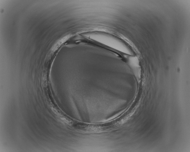 X0000080760977200701021052