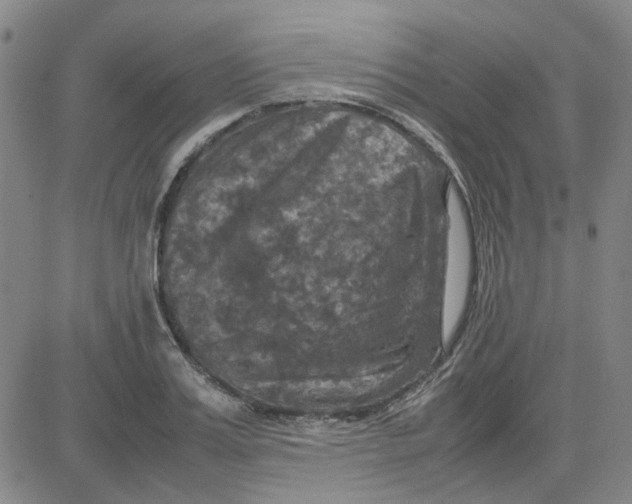 X0000080760987200701021052
