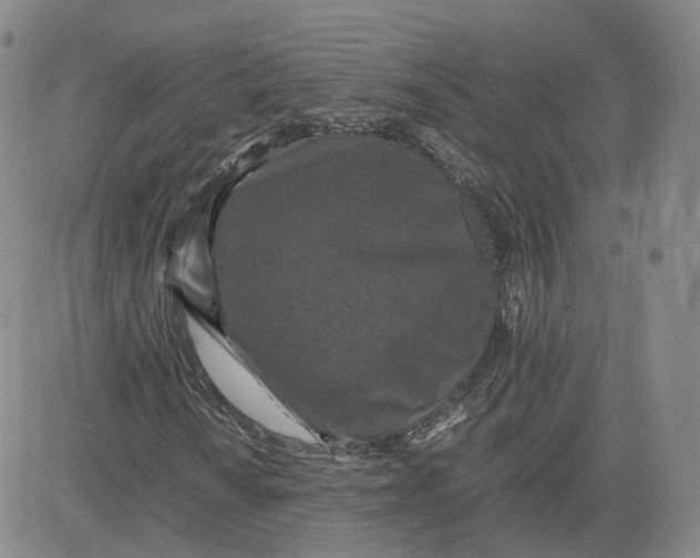 X0000080761010200701021050