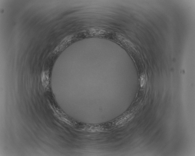 X0000080761011200701021051