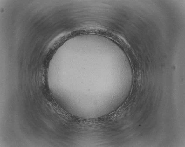 X0000080761016200701021051