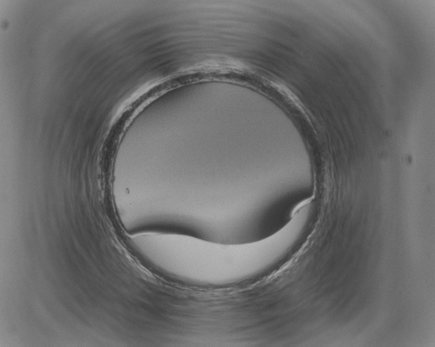 X0000080761018200701021051