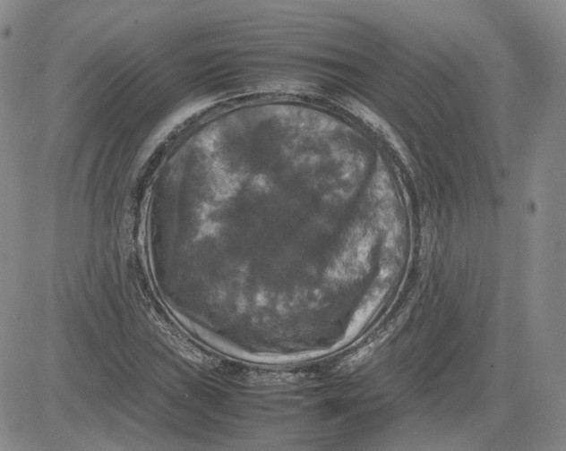 X0000080761019200701021051