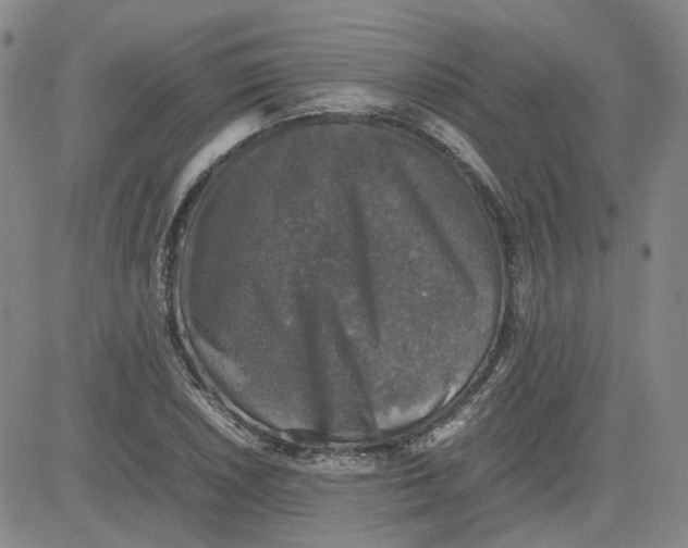 X0000080761026200701021051