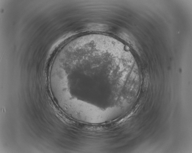 X0000080761027200701021051