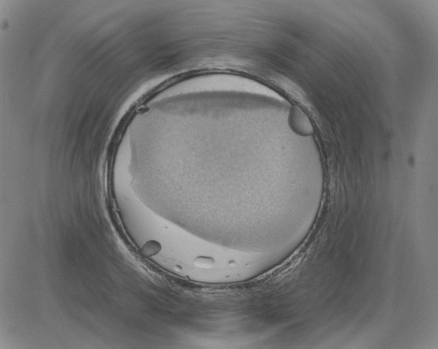 X0000080761032200701021051