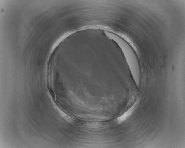 X0000080761046200701021051
