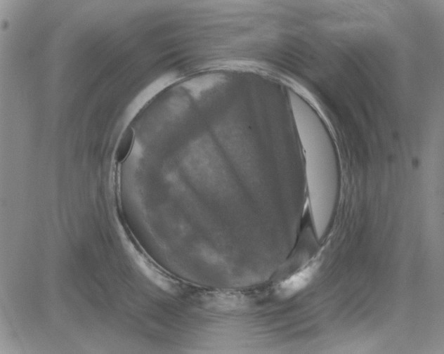 X0000080761050200701021051
