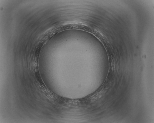 X0000080761062200701021050