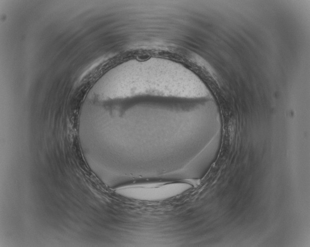 X0000080761064200701021050