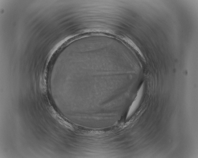 X0000080761068200701021050