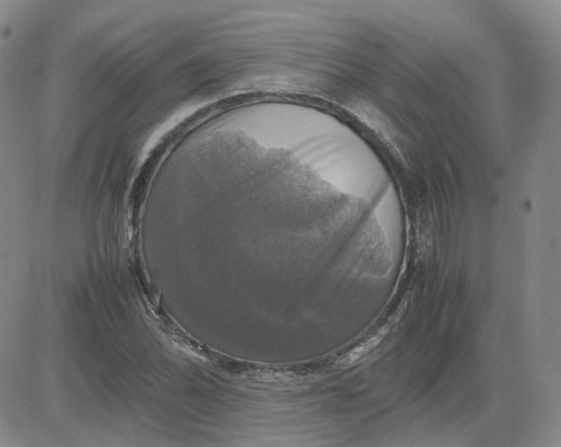 X0000080761070200701021050
