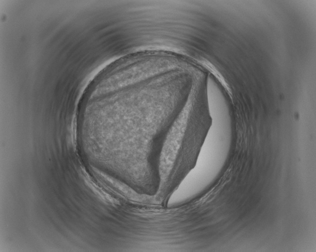 X0000080761076200701021050