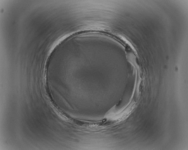 X0000080761077200701021050