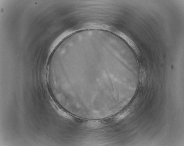X0000080761094200701021050