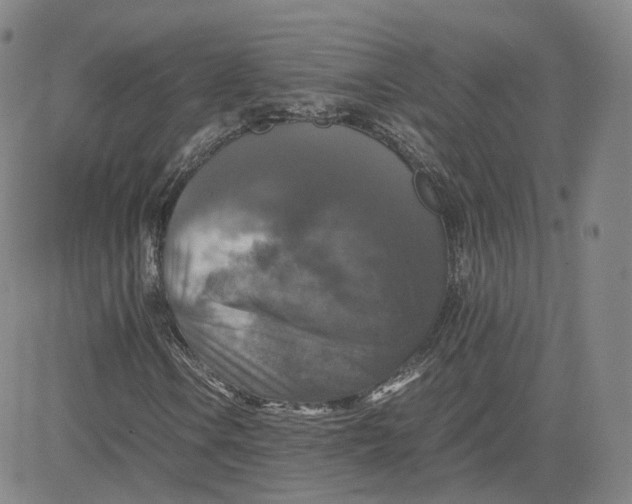 X0000080761106200701021049
