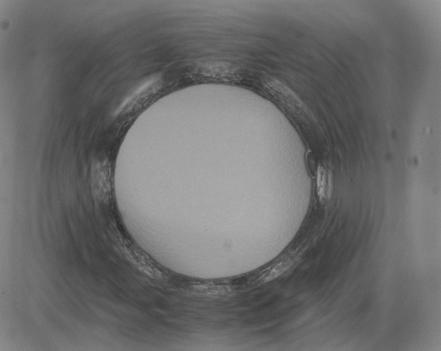 X0000080761107200701021049