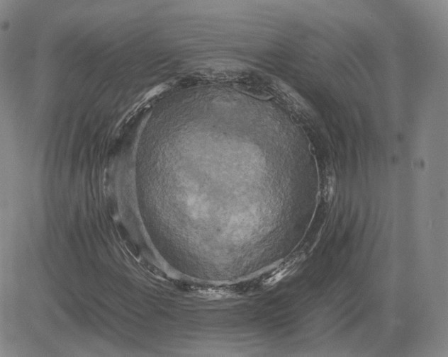 X0000080761108200701021049