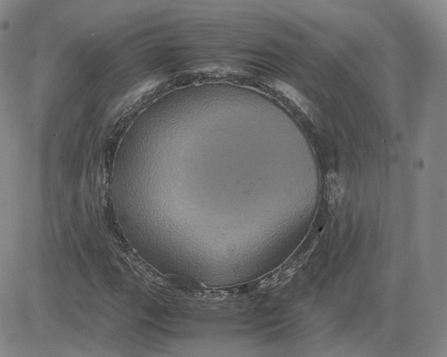 X0000080761111200701021049