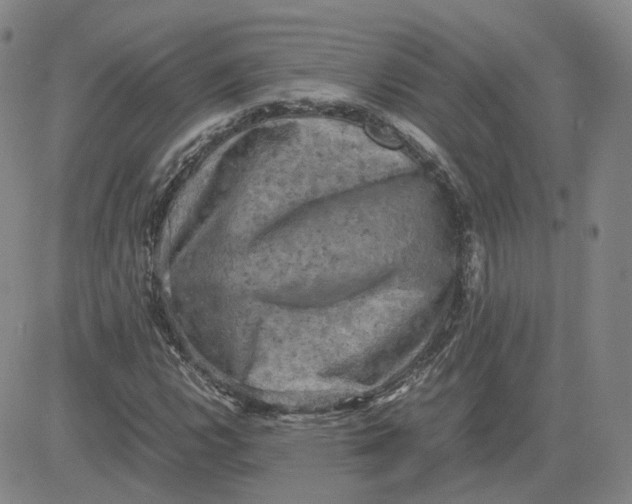 X0000080761112200701021049