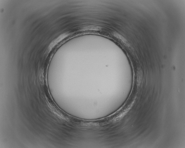 X0000080761113200701021049