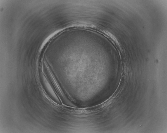 X0000080761120200701021049