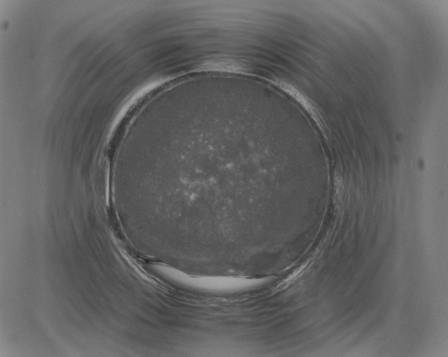X0000080761123200701021049