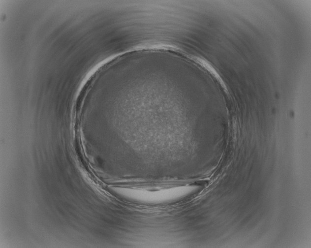 X0000080761124200701021049