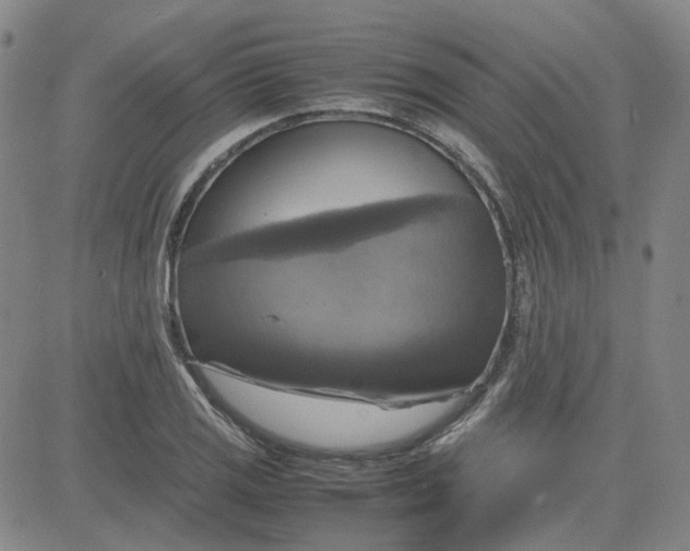 X0000080761125200701021049
