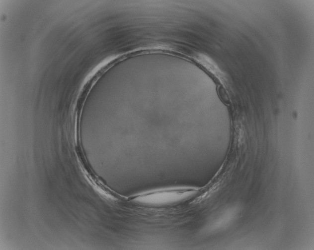 X0000080761127200701021049