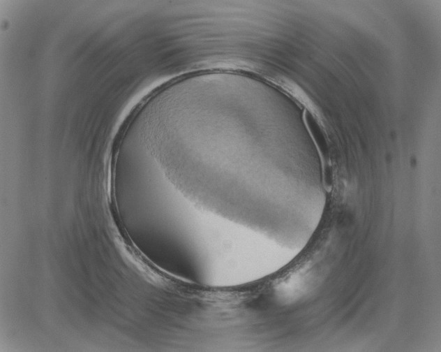 X0000080761132200701021049