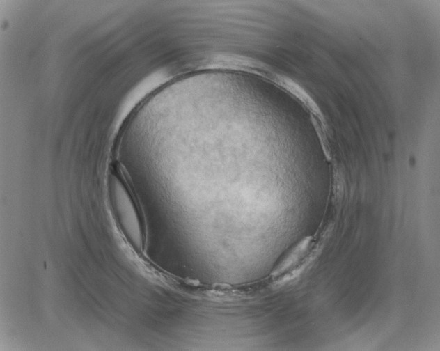 X0000080761138200701021049