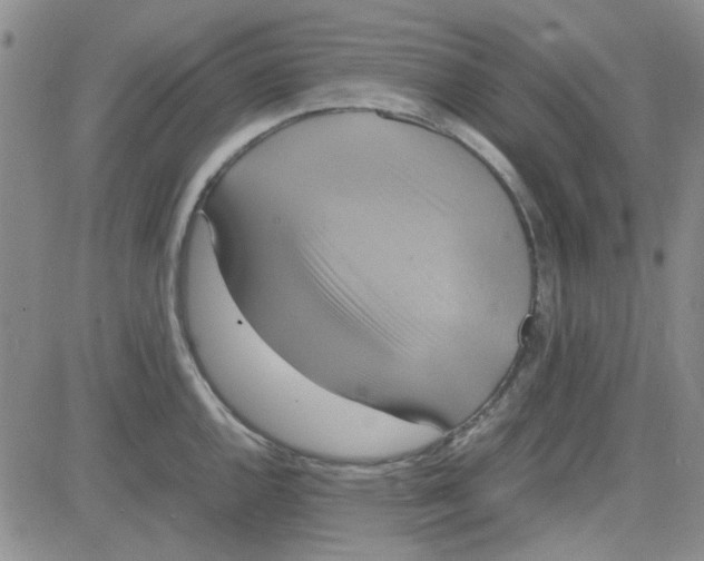 X0000080761144200701021050
