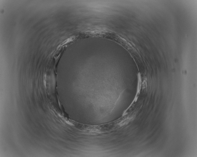 X0000080761156200701021049
