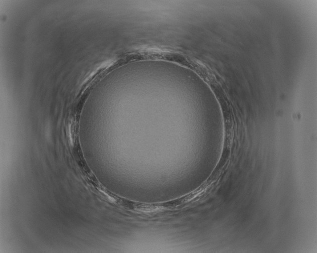 X0000080761157200701021049