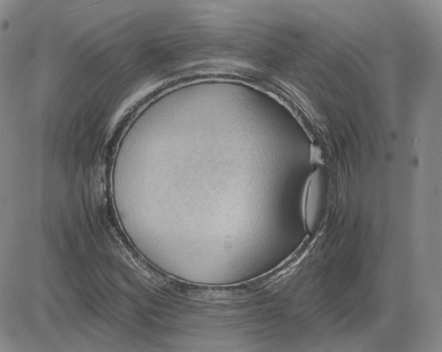 X0000080761164200701021049