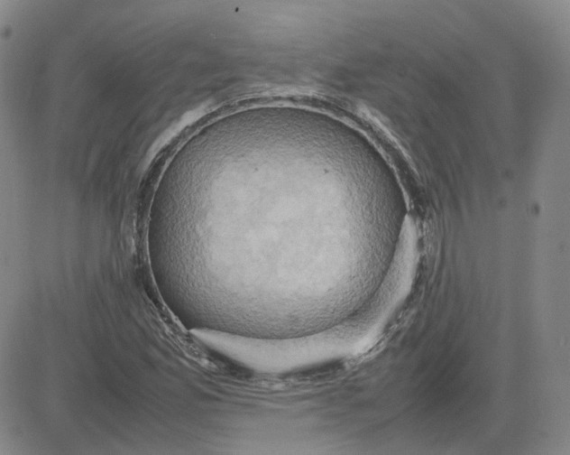 X0000080761165200701021049