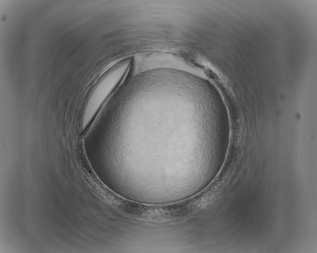 X0000080761169200701021049