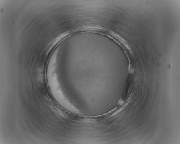 X0000080761170200701021049
