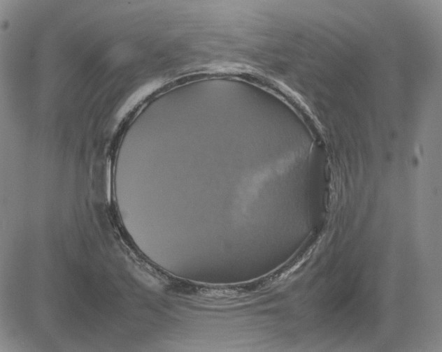X0000080761171200701021049