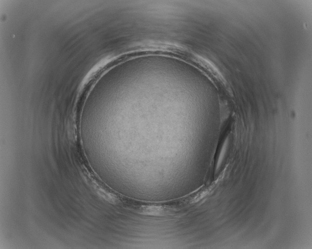 X0000080761172200701021049