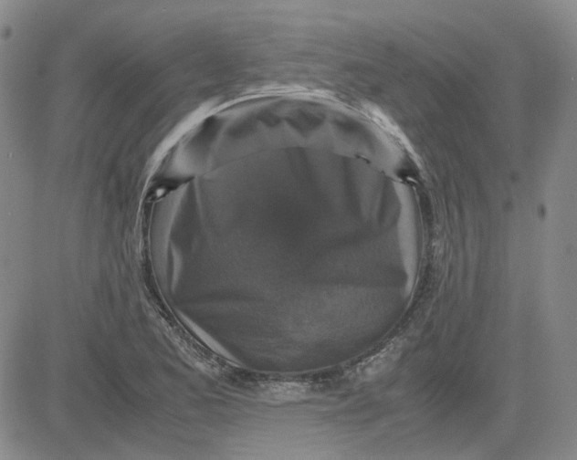 X0000080761173200701021049