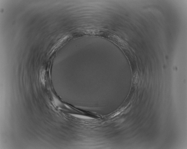 X0000080761202200701021047