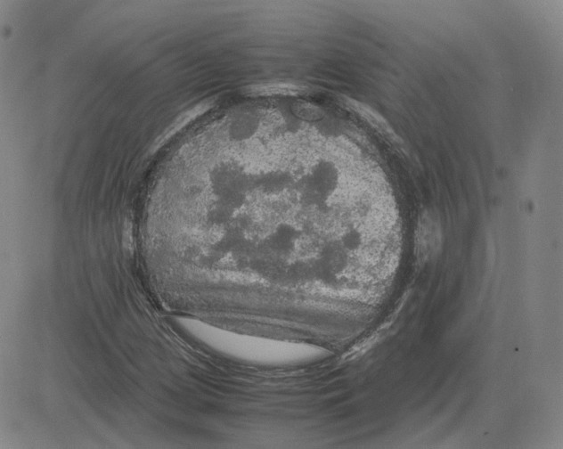 X0000080761209200701021047