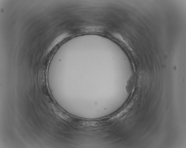 X0000080761211200701021048