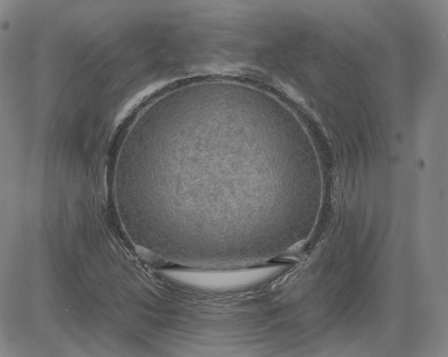 X0000080761214200701021048